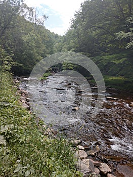 Driving in the Gandy Creek Tourist Area