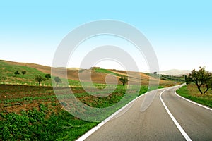 Driving in a Green Road