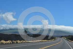 Driving on Kohala Mountain Road at Hawi on the Big Island in Hawaii photo