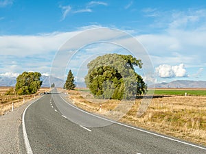 Mackenzie country in New Zealand photo