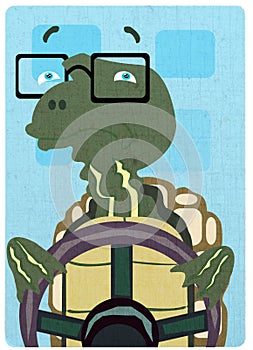 Driving Moods - Turtle