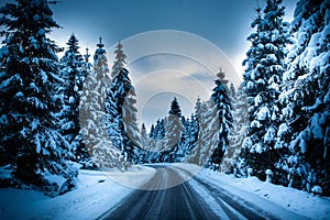 Driving through a natural calm winter fairytale