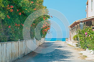 Driving on the Ocean coast, narrow street to sea, beautiful trees and typical building house of south Europe. Light and