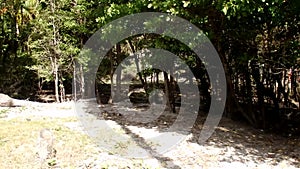 Driving off-road through a coconut grove in the caribbean