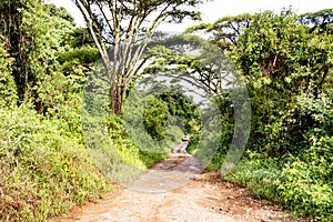 Driving Off-Road on Remote Dirt Road