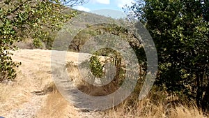 Driving off-road on the windward side of an island in the grenadines