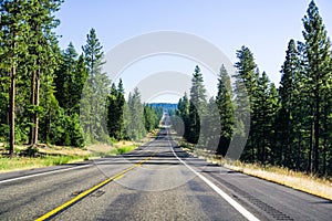 Driving through Shasta National Forest, Siskiyou County, Northern California