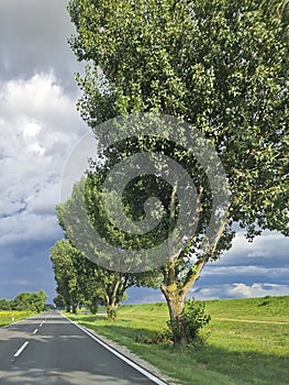 Driving on a streight road, cloudy sky and green surroundings