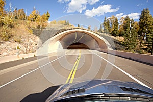 Driving to a Tunnel