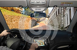 Driving while using navigation system on the slope to the Udine