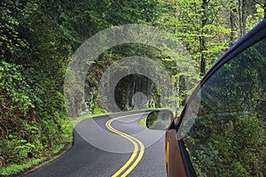 Driving through the winding roads of the Smoky Mountains