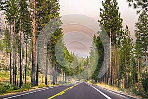 Driving through Yosemite National Park; sky covered by smoke