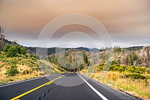 Driving through Yosemite National Park; sky covered by smoke photo