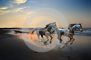 Droid horses running on the beach