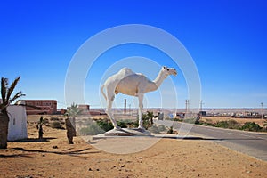 Dromedary camel white statue near a road