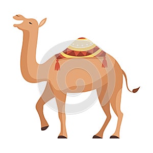 Dromedary, One Humped Camel with Bridle and Saddle Decorated with Ethnic Ornament Vector Illustration