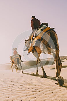 Dromedary with tourist in the thar desert