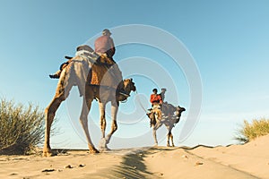 Dromedary with tourist in the thar desert