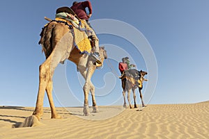 Dromedary with tourist in the thar desert