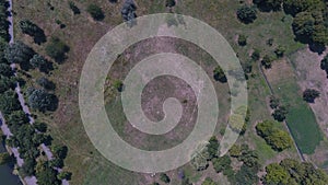 Drone above a reen garden