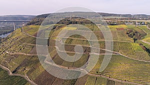 drone aerial footage wineyard plants village winningen Famous German Wine Region Moselle River with highway bridge A61