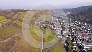 drone aerial footage wineyard plants village winningen Famous German Wine Region Moselle River with highway bridge A61