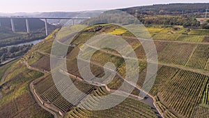 drone aerial footage wineyard plants village winningen Famous German Wine Region Moselle River with highway bridge A61