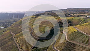 drone aerial footage wineyard plants village winningen Famous German Wine Region Moselle River with highway bridge A61