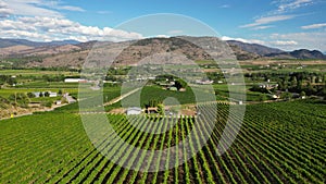 Drone Aerial Oliver Organic Winery Vineyard Okanagan Valley British Columbia