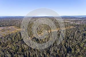 Drone aerial photograph of telephone lines running through a forest affected by bushfire in Australia