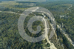 Drone aerial photograph of telephone lines running through a forest affected by bushfire in Australia