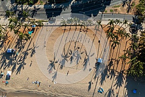 Drone, aerial shot of Waikiki Beach with its palm trees in the morning sun