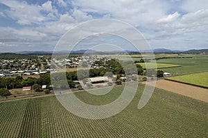 Drone Aerial Of Township Near Sugarcane Paddocks