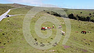 Drone aerial view of the Costa Artabra in Galicia