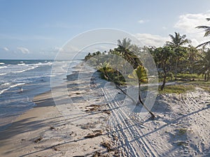 Drone aerial view deserted beach with coconut trees. IlhÃÂ©us Bahia Brazil