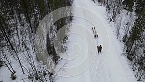 Drone Aerial view of dogsledding handler with team of trained husky dogs mountain pass, husky dog sled riding in winter