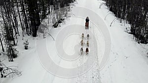 Drone Aerial view of dogsledding handler with team of trained husky dogs mountain pass, husky dog sled riding in winter