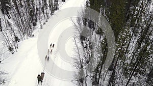 Drone Aerial view of dogsledding handler with team of trained husky dogs mountain pass, husky dog sled riding in winter