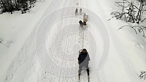 Drone Aerial view of dogsledding handler with team of trained husky dogs mountain pass, husky dog sled riding in winter