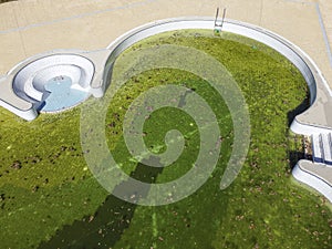 Drone aerial view of a swimming pool with green water in autumn