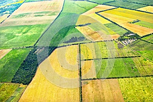 Drone airview agriculture fields bird view