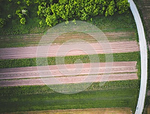 Drone eagle eye view of plowed and cultivated field on the forest edge with narrow dirt road rounding the area, located near