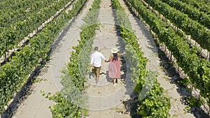 Drone, farm and a couple holding hands in a vineyard together for love, romance or wine tasting in the countryside