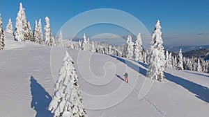 DRONE: Female splitboarder is hiking in Velika Planina on a sunny winter day.