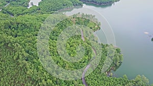 Drone Flies above Tropical Woods and Road by Lake
