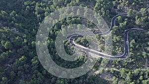 A drone flies forward a lonely rural road in the middle of a mediterranean pines forest.