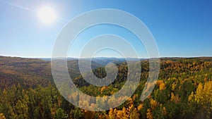 Drone flies over the beautiful colorful trees in the autumn forest