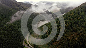 The drone flies over a narrow mountain river in lowland between mountains and pine forest. Foggy aerial view.