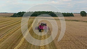 Drone flies over red harvester machine cut wheat crop in rural yellow field. Agriculture food production.