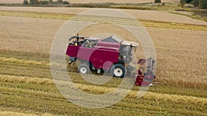 Drone flies over red harvester machine cut wheat crop in rural yellow field. Agriculture food production.